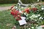 gravsted med blomster