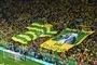 tifo i brasilianske farver på tilskuerrække