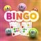 Bingo.dk - vores favorit bingo-site