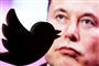Elon Musk med Twitter-fuglen i forgrunden