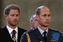 Harry bag prins William som ser forundret ud. 
