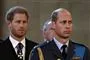 Harry bag prins William som ser forundret ud. 