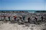 folk rydder op på strand efter jordskælv