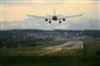 Et fly ved at lette