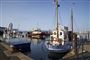 Fiskekuttere i havn