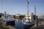 Fiskekuttere i havn