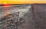 strand ved solopgang