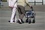 mand går med rollator