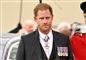 prins harry kigger