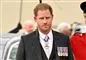 prins harry kigger