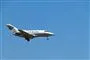 Et lille fly i luften