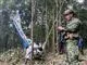 soldat i junglen