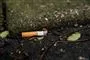 Cigaretskod