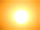 solen