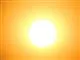 solen
