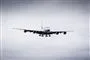 Et fly i luften