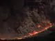 En stor røgsky fra en skovbrand