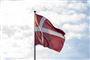 Som udgangspunkt mener Konservative, at det udelukkende er Dannebrog, man skal kunne flage med. (Arkivfoto).