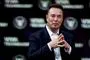 elon musk poserer 