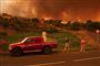 skovbrand på tenerife