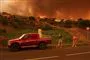 skovbrand på tenerife