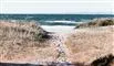 passage i klitter ved strand