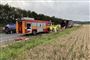 En forulykket dyretransport