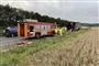 En forulykket dyretransport