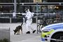 mand i dna dragt med hund