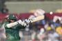 cricketspiller 