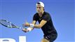 tennisspiller