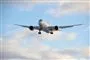 Et fly i luften