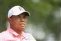 Tiger woods