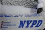 new york logo