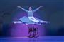 en balletdanser