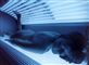 person i solarium