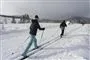 Folk på ski