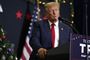 donald trump taler
