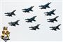 Kampfly i luften