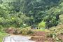 Lokale myndigheder oplyser, at mindst 33 personer er dræbt i et jordskred mellem byerne Medellín og Quibdó i Colombia.