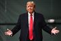 donald trump taler