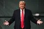 donald trump taler