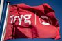 Et flag med logo