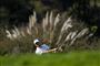en golfspiller