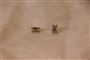 Ørestikker formet som et X på et gulv