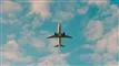 et fly i luften