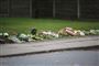 Blomster på græsplæne