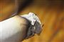 Cigaret skyld i tysk busbrand