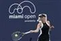tennisspiller