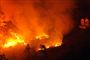 Lejrbål startede skovbrand